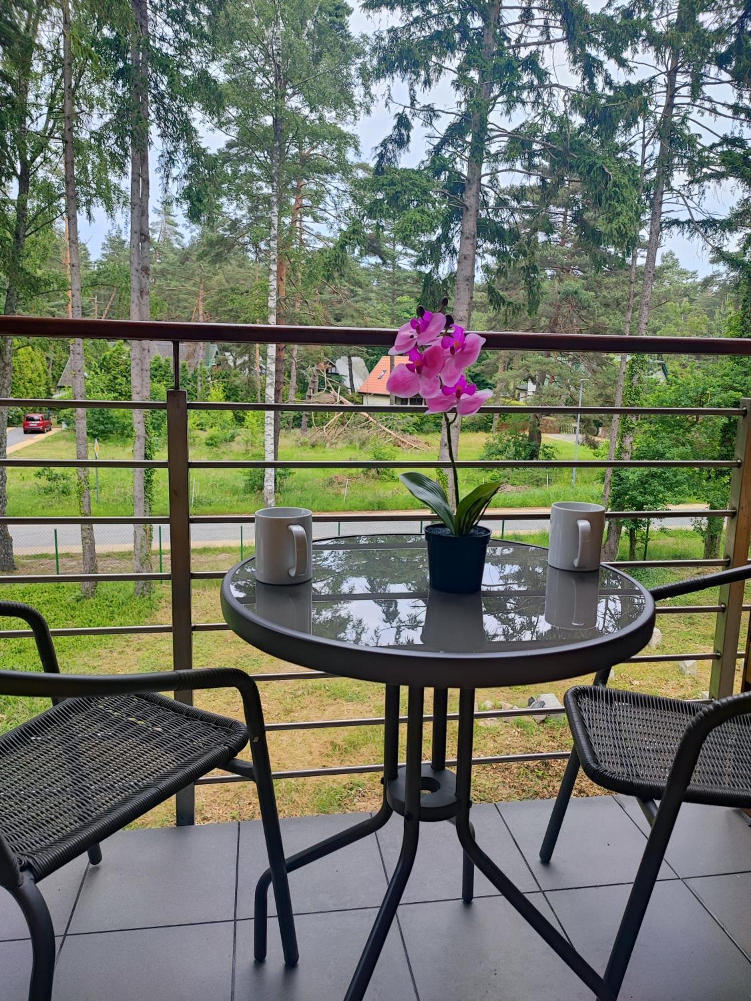 Apartamenty Poddabek- Basen Kryty, Sauna, Animacje Dla Dzieci , Malpi Gaj, Baseny Na Dachu Поддомбе Экстерьер фото
